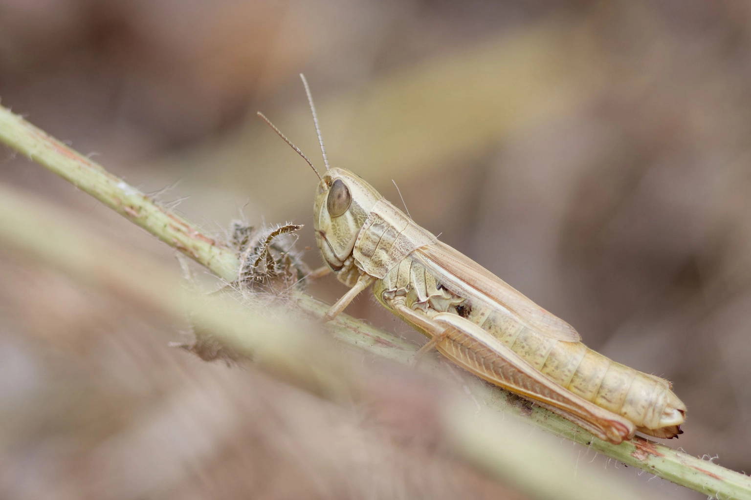 Ouvrir les yeux - image 1