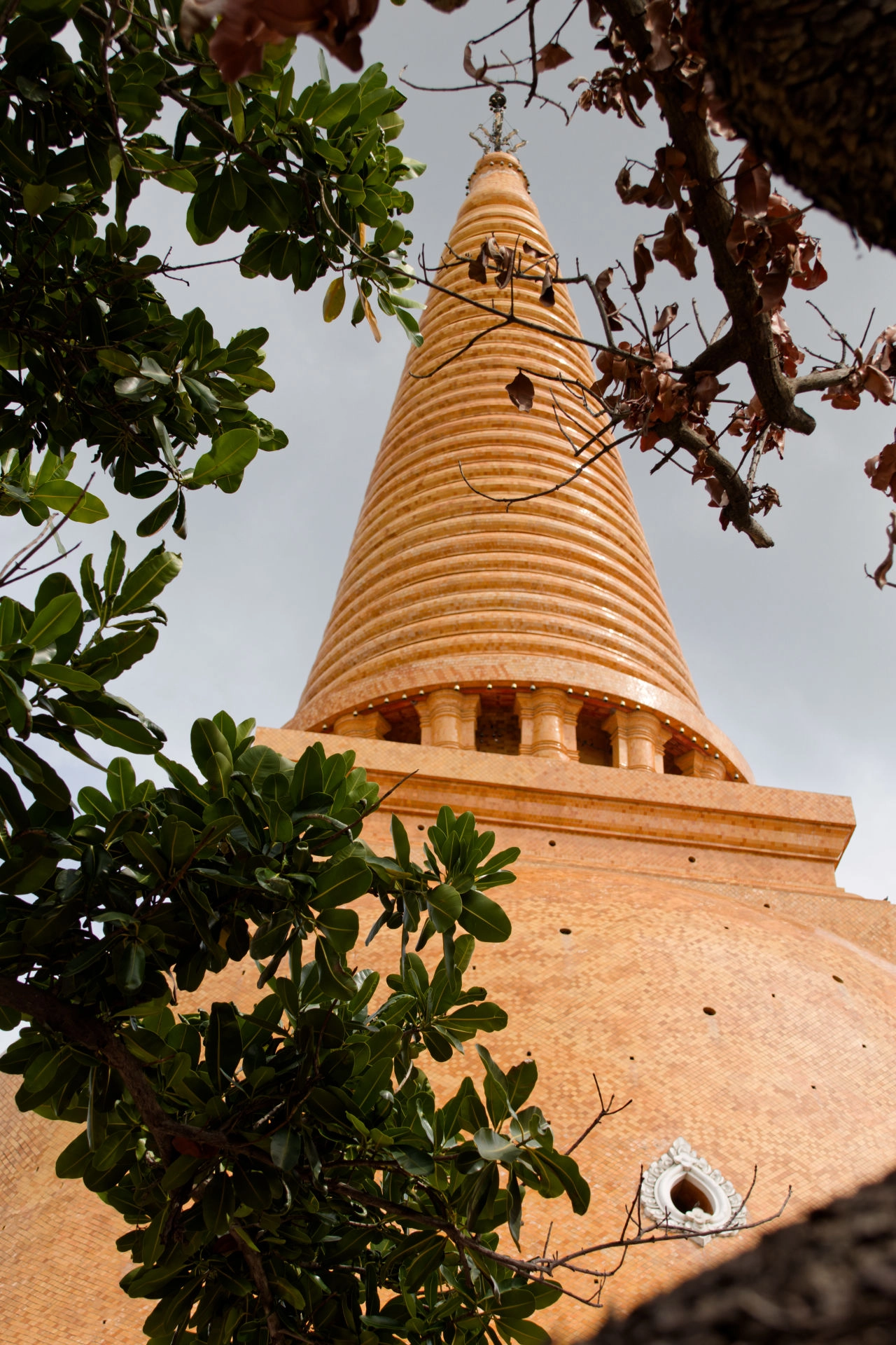 Sawat Dee Khrap - image 2